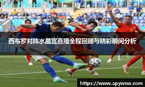 西布罗对阵水晶宫直播全程回顾与精彩瞬间分析